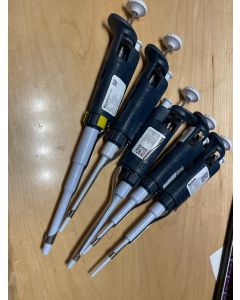Gilson Pipet pipetman Pipettor pipet set P1000 P200 P20 P10 P10 P100