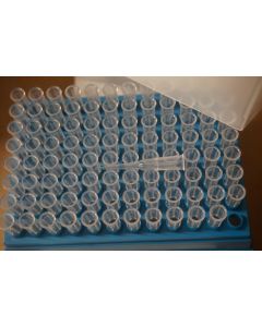 MBP Tips 10 Boxes 960 Tips 50ul universal fit clear