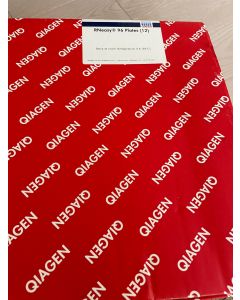 NEW Qiagen 1037589 RNeasy 96 Plate Well Plate