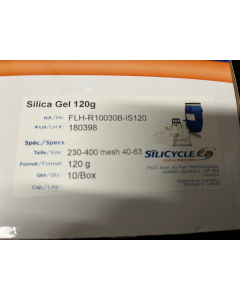silicycle Siliasep Flash cartridges silica gel 120g 40 63 um FLH R10030B IS120